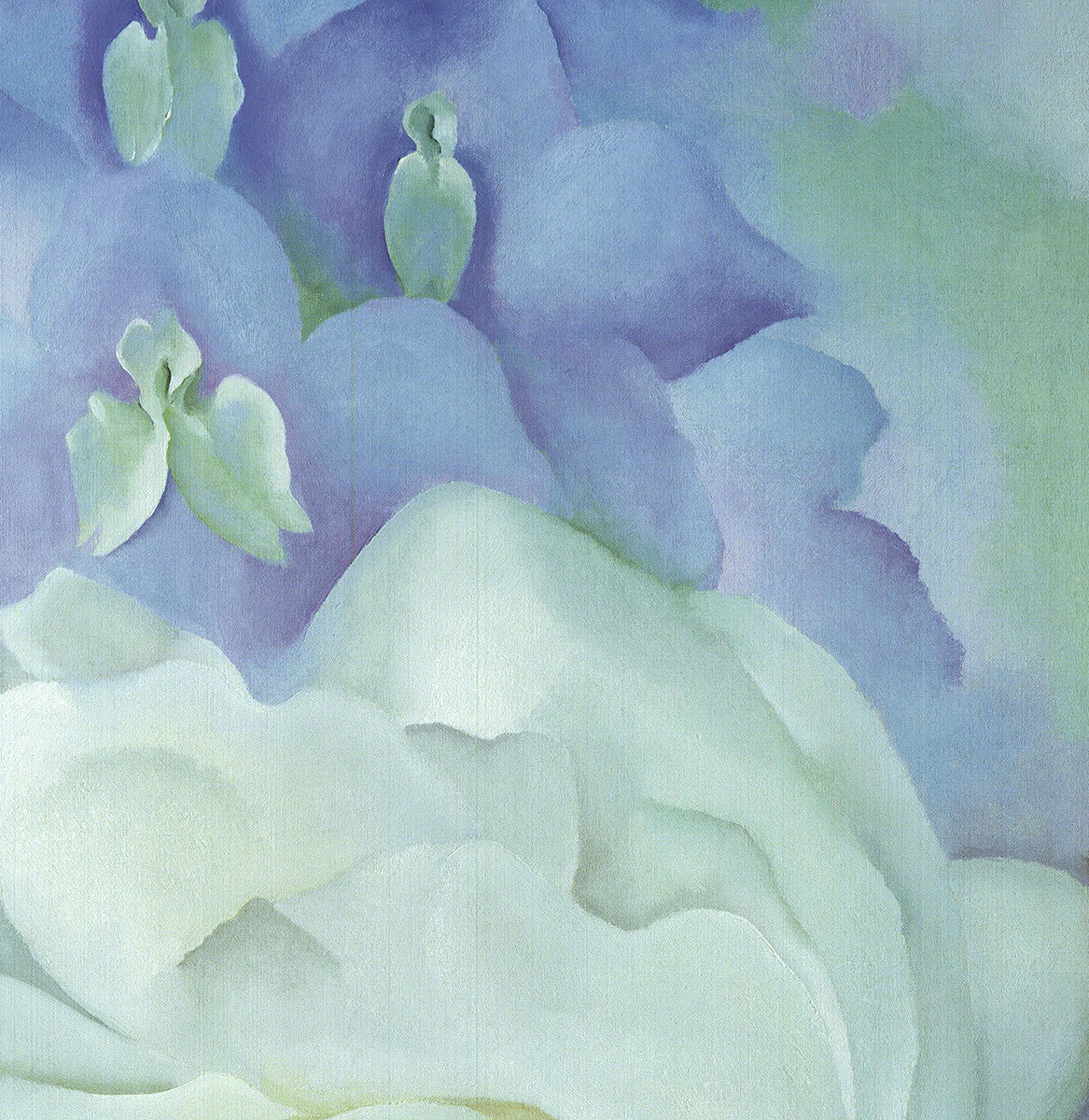 Georgia O'Keeffe White Rose With Larkspur No.2 " Offset Lithograph