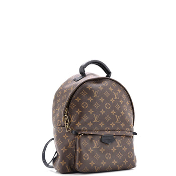 Louis Vuitton Palm Springs Backpack Monogram Canvas Mm
