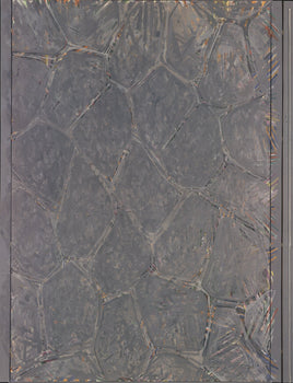 Jasper Johns Within 
