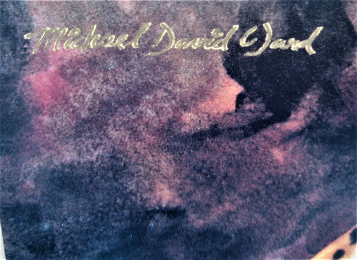 Michael David Ward - 'Cheetah' Signed Mixed Media Art Print, Rare Space Art