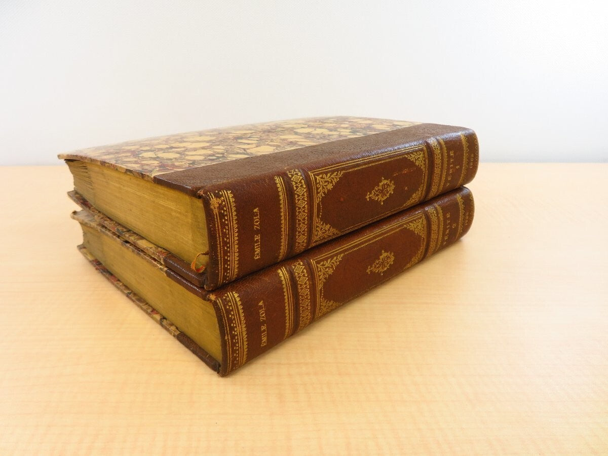 Emile Zola'S 'Verite'  1903 Limited Edition (30 Copies) 2 Volumes Handmade Paper