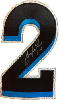 Christian Yelich Autographed Game Used Miami