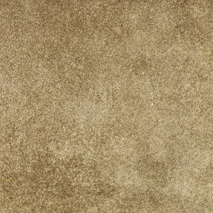 Gucci Dionysus Bag Gg Coated Canvas Medium