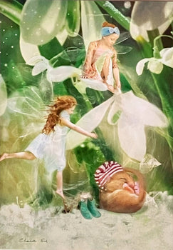 Charlotte Bird (Uk) Photograph Print 