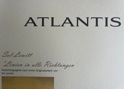 Sol Lewitt Lithograph Coa Signed By Hand Numbered Stamp