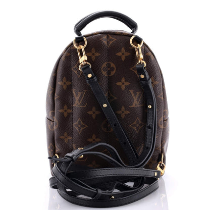 Louis Vuitton Palm Springs Backpack Monogram Canvas Mini