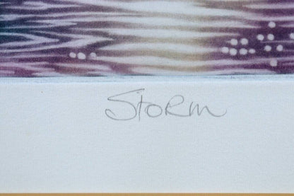 Susan Jameson - Storm Original Lithograph Print