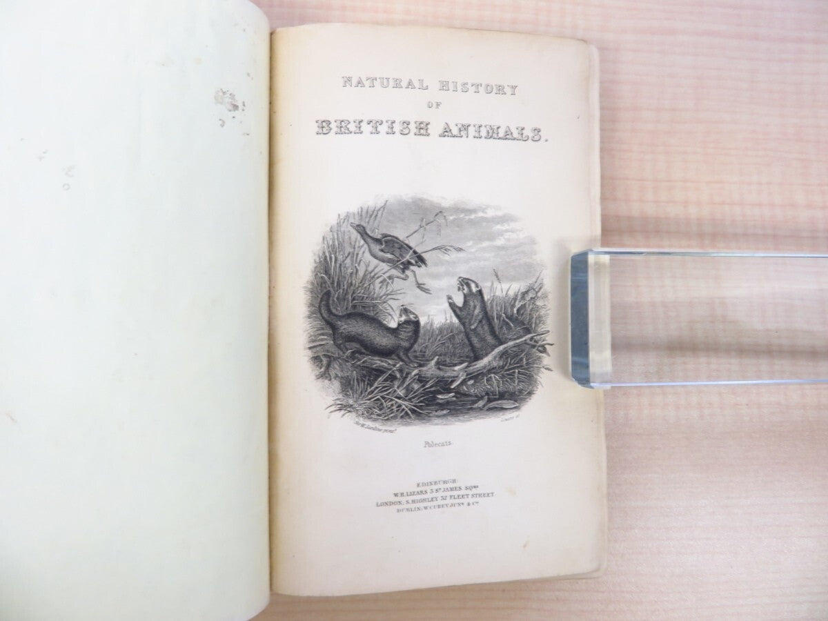 William Jardine The Naturalist'S Library. Vol Xvii. Mammalia: British Quadrupeds