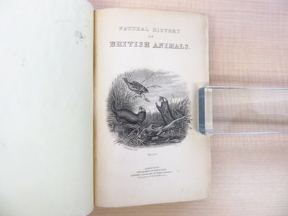 William Jardine The Naturalist'S Library. Vol Xvii. Mammalia: British Quadrupeds