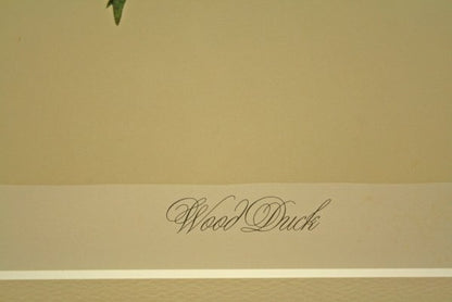 John James Audubon "Wood Duck" Lithograph By M. Bernard Loates Signed 16/1000