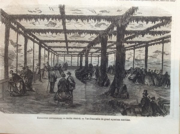 Paris Exposition Universelle 1867 Marine Aquarium Interior Original Engraving