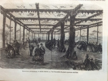 Paris Exposition Universelle 1867 Marine Aquarium Interior Original Engraving