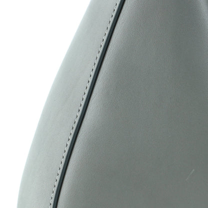 Loewe Luna Hobo Leather