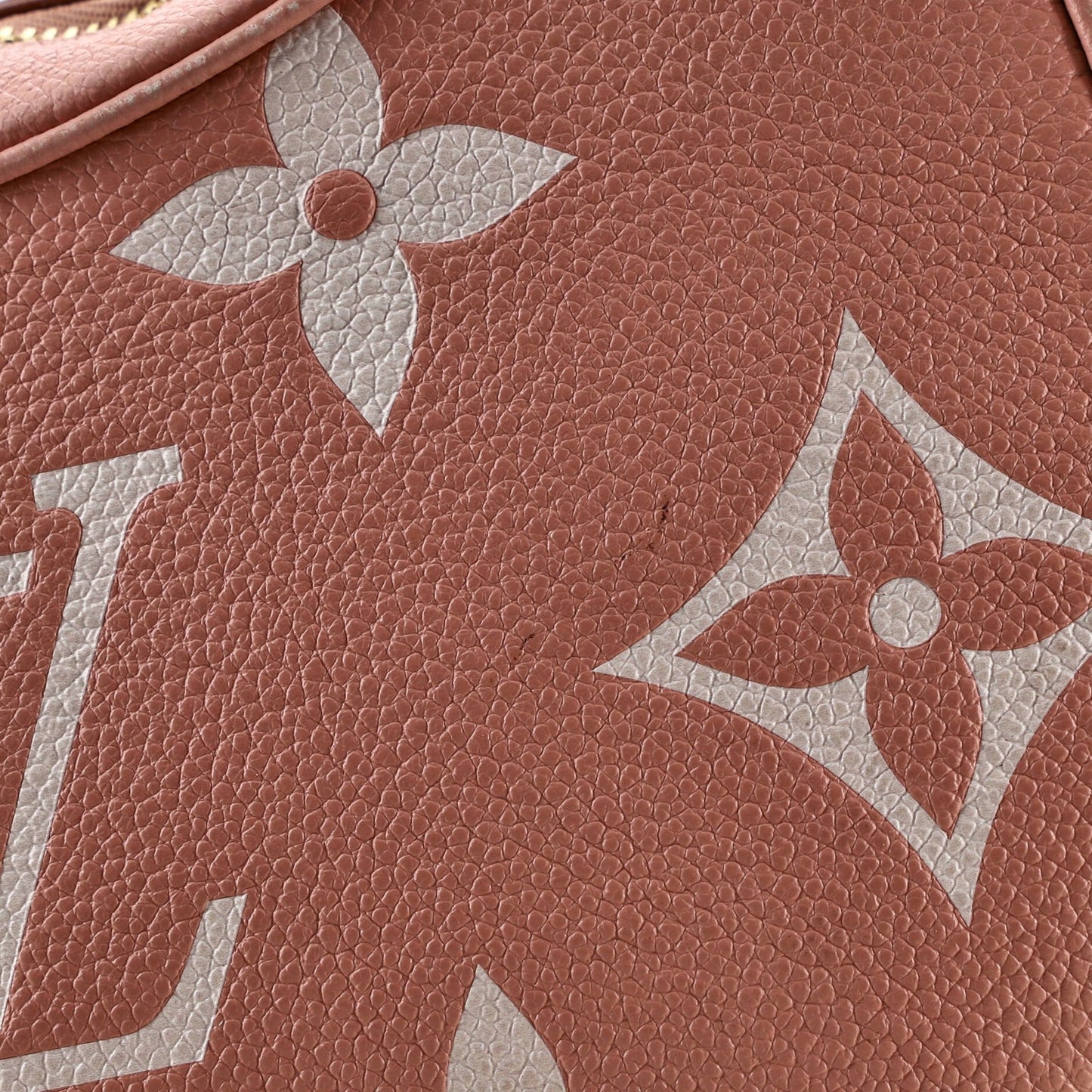 Louis Vuitton Bagatelle Nm Handbag Bicolor Monogram Empreinte Giant