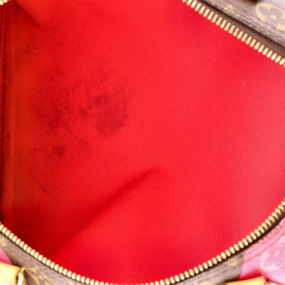 Louis Vuitton Speedy Handbag Limited Edition V Monogram Canvas 30