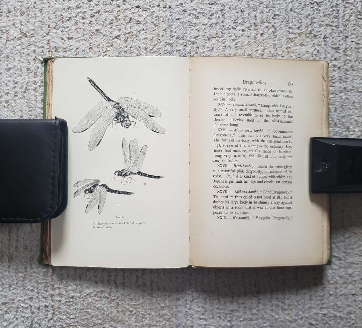 1901 Lafcadio Hearn Japan An Attempt At Interpretation 1St Hardcover English