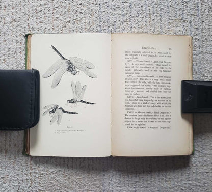 1901 Lafcadio Hearn Japan An Attempt At Interpretation 1St Hardcover English