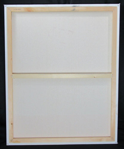 Nolan Ryan 24"X30" Canvas Hand Painted Acrylic