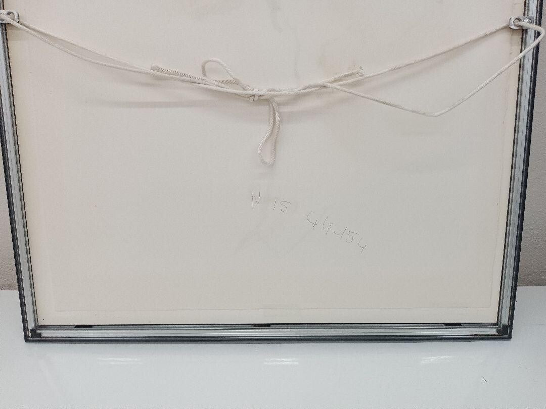 II Kim En Joong Signed Original Lithograph Print Framed ED225 Monde imaginaire