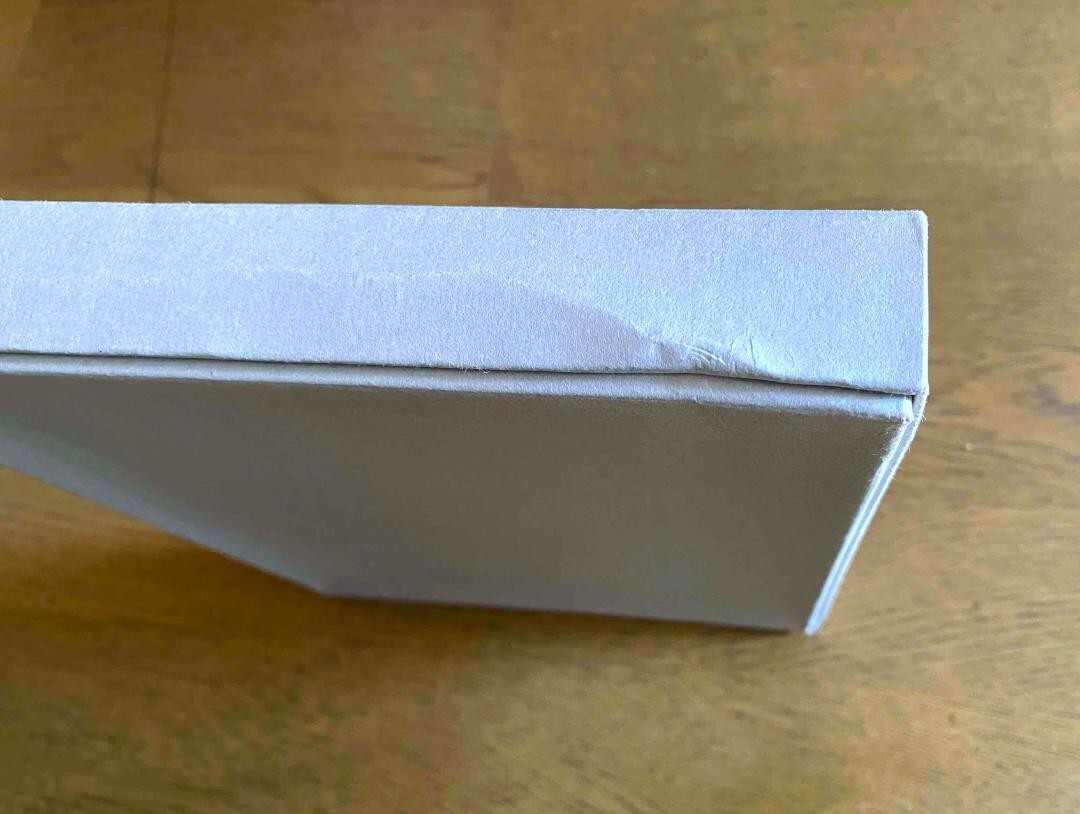 Saint Laurent Celine Box Rock Slimane Hedi Diary 2008 Photography