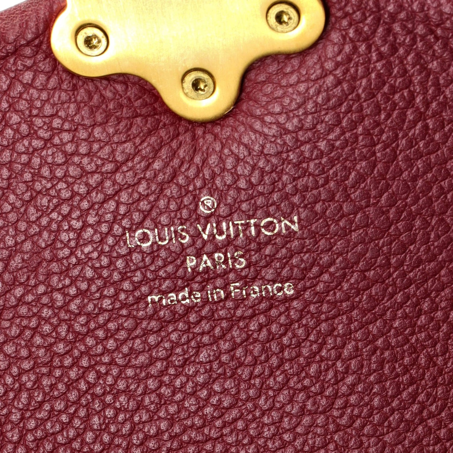 Louis Vuitton Clapton Handbag Damier And Leather Pm