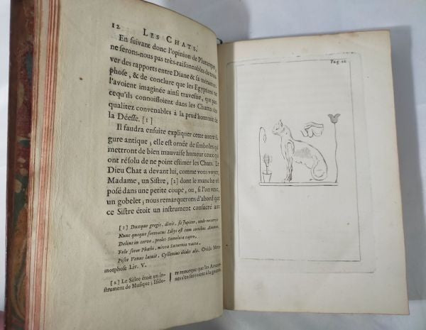 Les Chats  Moncrif  1727 First Edition  Worlds First Book On Cats  Complete