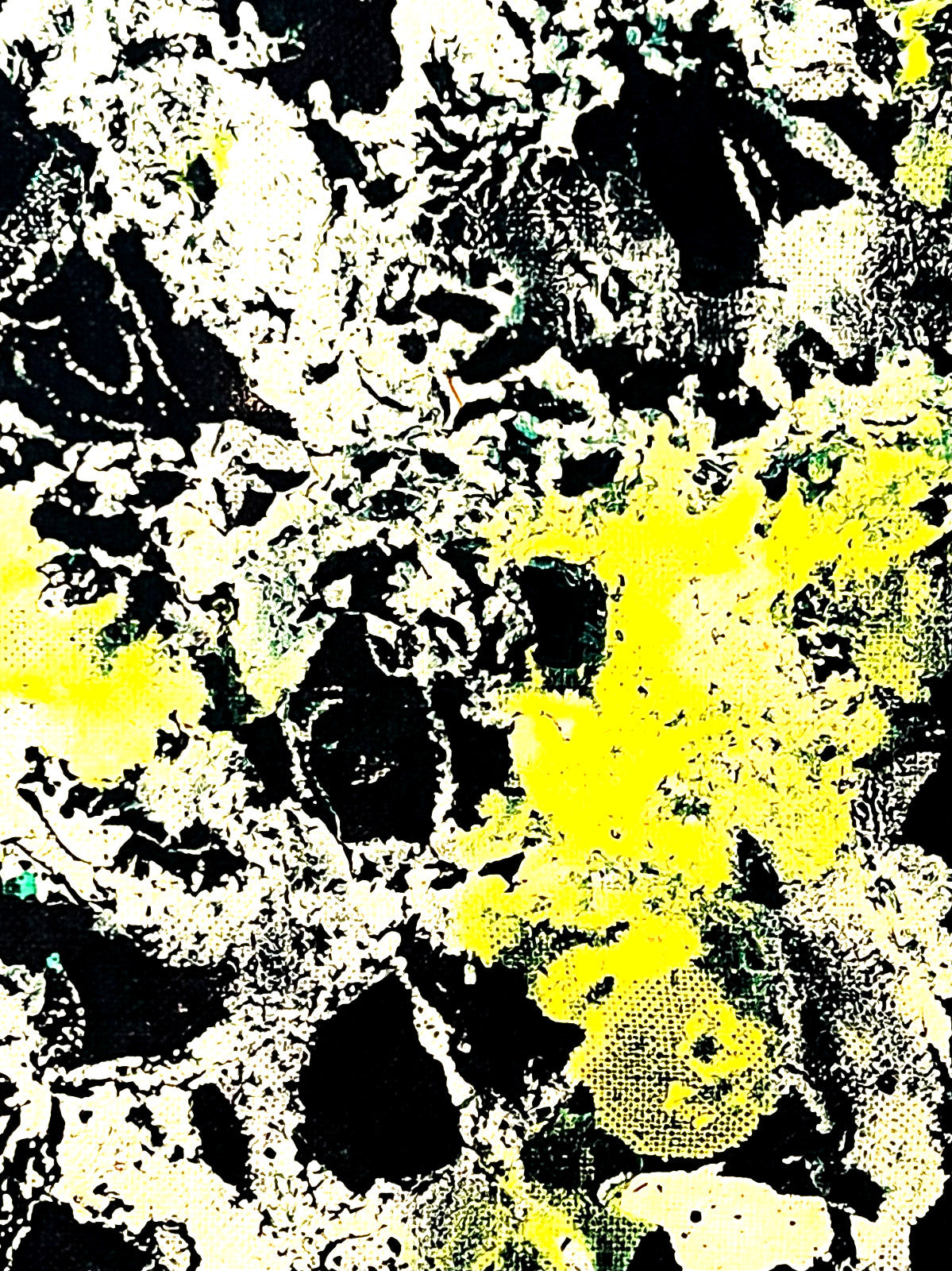 Jackson Pollock Action Painting Coa Signed Numbered By Hand. Eduardo Chillida