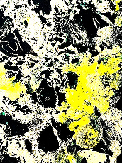 Jackson Pollock Action Painting Coa Signed Numbered By Hand. Eduardo Chillida