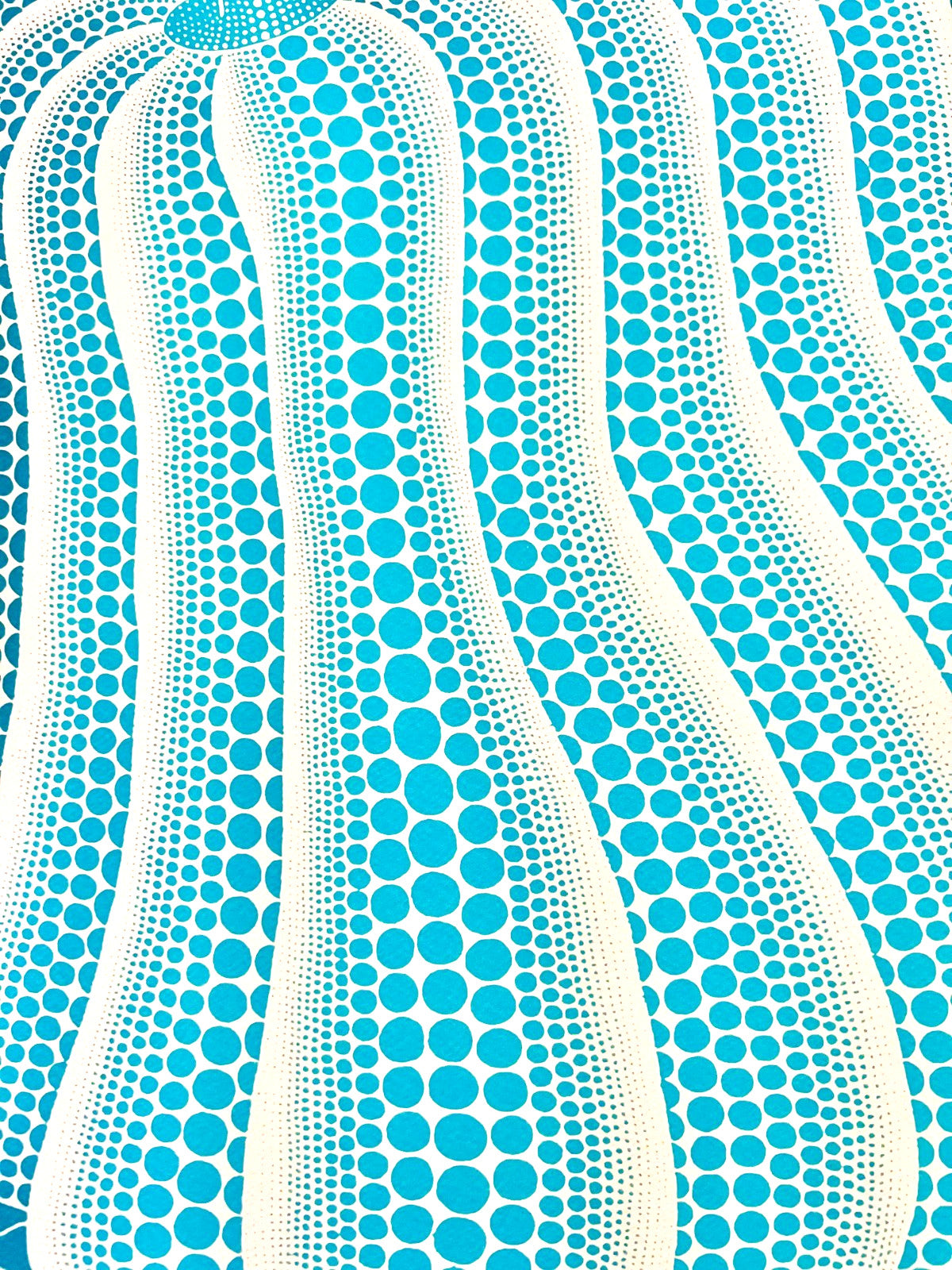 Yayoi Kusama Lithograph Mori Museum Coa Numbered Limited Fit