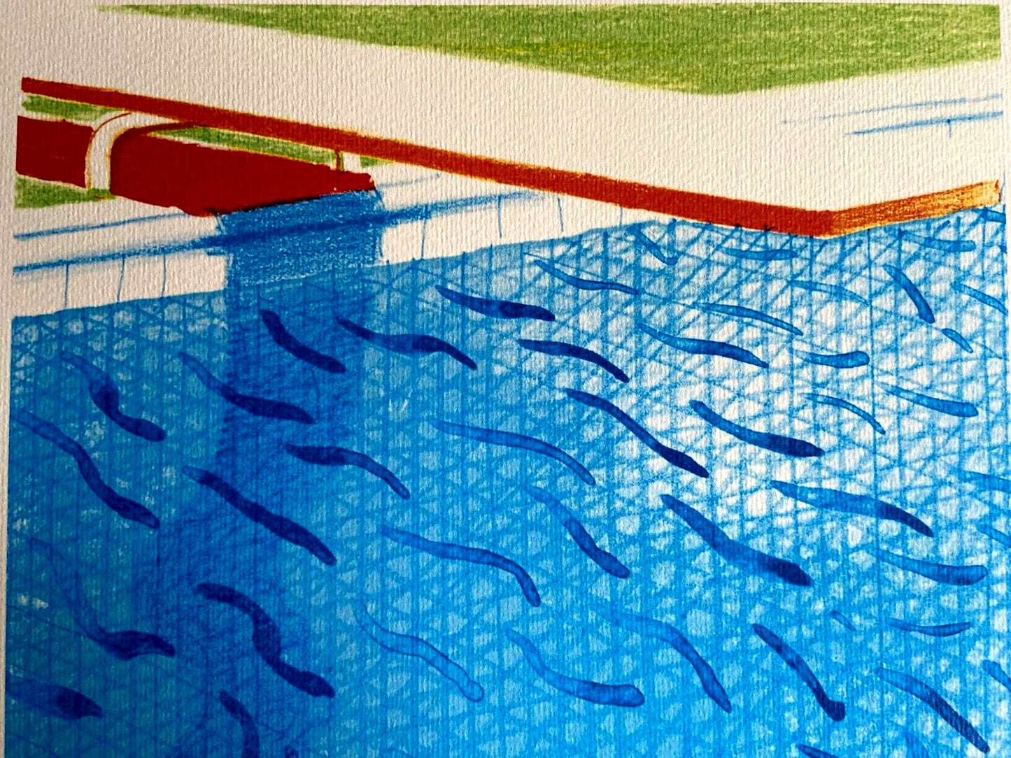 David Hockney Lithograph Hand-Made Coa Signed Pen Numbered 180