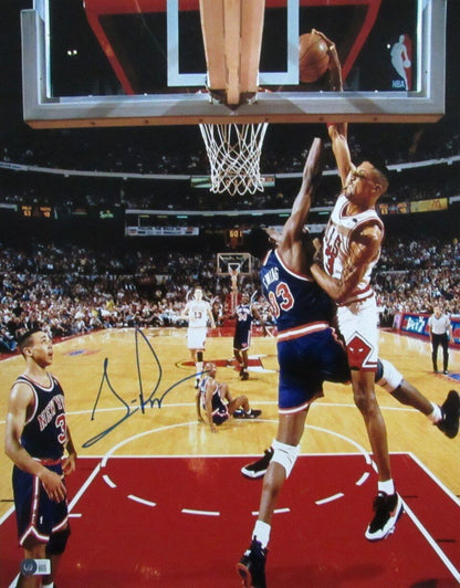 Scottie Pippen Hof Autographed 16X20 Photo Chicago Bulls Beckett 176457