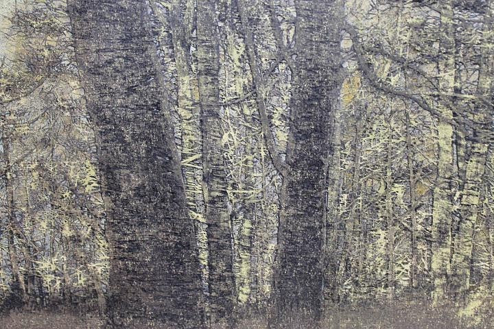 Joichi Hoshi Forest Scene 1976 Signed Woodblock Print "???" 37/99 W/ Frame