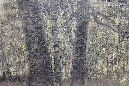 Joichi Hoshi Forest Scene 1976 Signed Woodblock Print "???" 37/99 W/ Frame