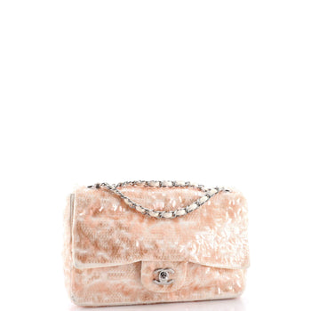 Chanel Classic Single Flap Bag Sequins Small