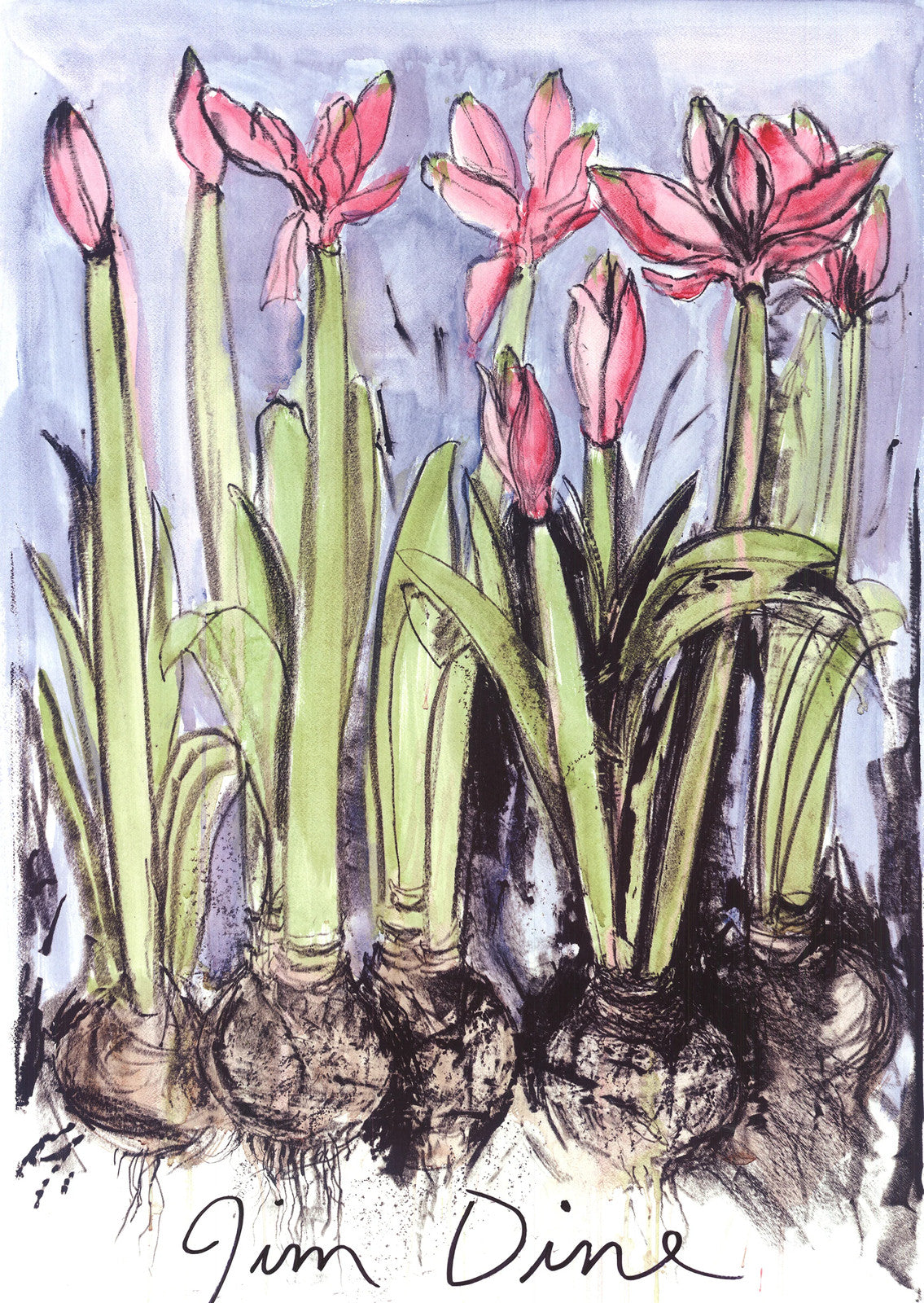 Jim Dine Anemones " Offset Lithograph Pop Art Green Pink Blue Jim