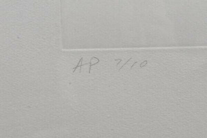 Robert Mangold (American, 1937) Original Etching Aquatint Pencil Signed Ap10