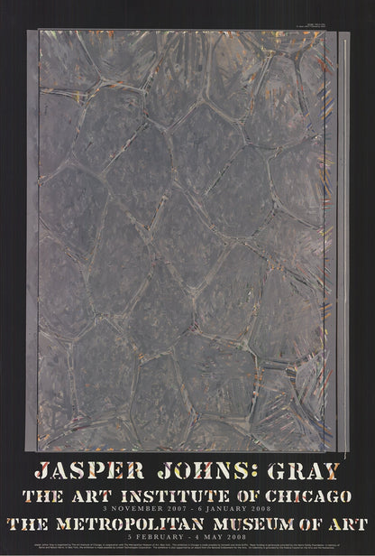 Jasper Johns Within " Poster Pop Art Blue Gray