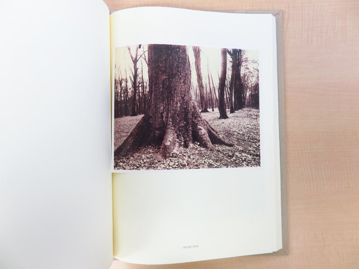 Eugene Atget'S Trees 2003 1St Edition Limited 982/1000 Large Format Photography