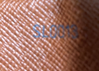 Louis Vuitton Danube Handbag Monogram Canvas