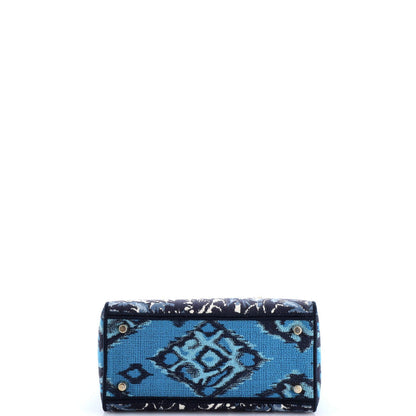 Christian Dior Toile De Jouy Lady D-Lite Bag Embroidered Canvas