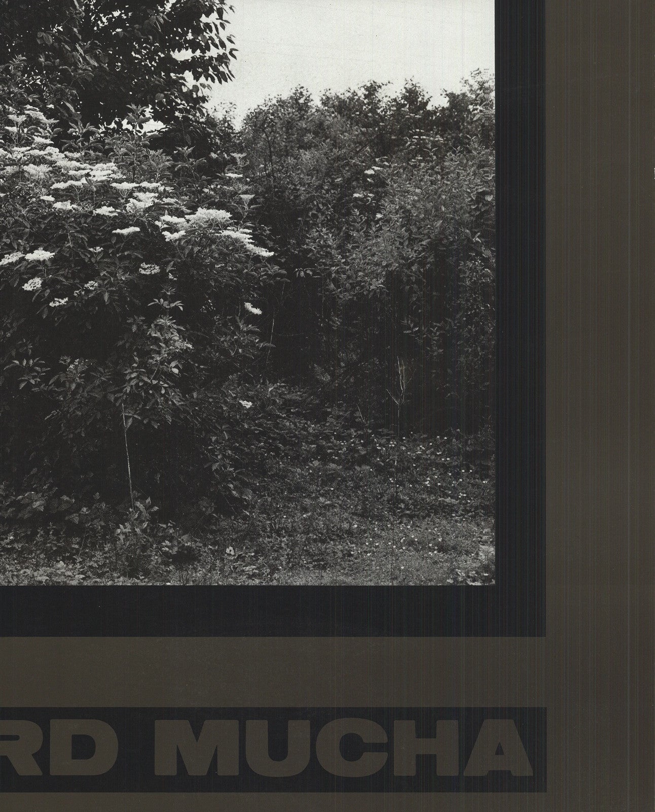 Reinhard Mucha Kasse Beim Fahrer " Offset Lithograph Photograp