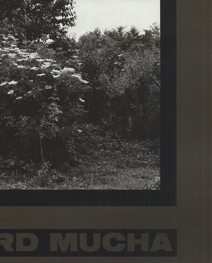 Reinhard Mucha Kasse Beim Fahrer " Offset Lithograph Photograp