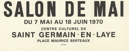 Pablo Picasso Salon De Mai " Lithograph Cubism Brown Green Blue