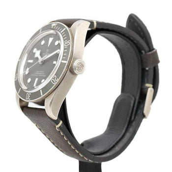 Tudor Black Bay 58 79010Sg Sv925