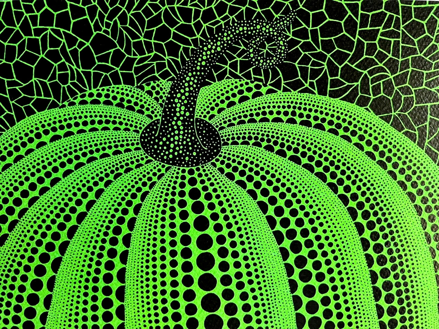 Yayoi Kusama Lithograph Mori Museum Signed O. P.Numbered Limited