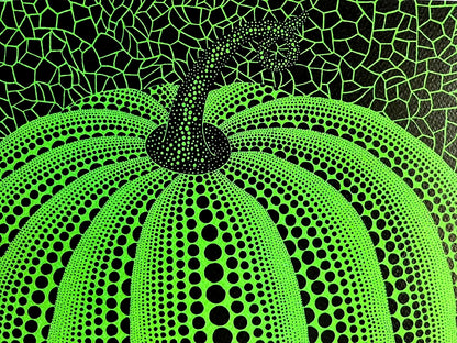 Yayoi Kusama Lithograph Mori Museum Signed O. P.Numbered Limited