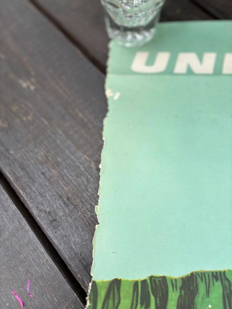 Hawaii United Airlines 1960S Original Vintage Poster Hawaiian By Stan Galli