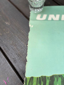 Hawaii United Airlines 1960S Original Vintage Poster Hawaiian By Stan Galli