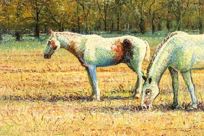 Valerie Pfeiffer Original Oil Painting -White Horses San Antonio De Areco Signed