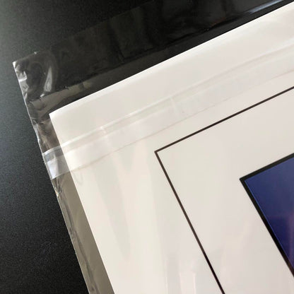 Birds Of Paradise Mtg Mark Poole Magic The Gathering Art Print